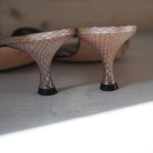 Manolo Blahnik Multicolor Snakeskin Kitten Heels - Picture 6 of 11